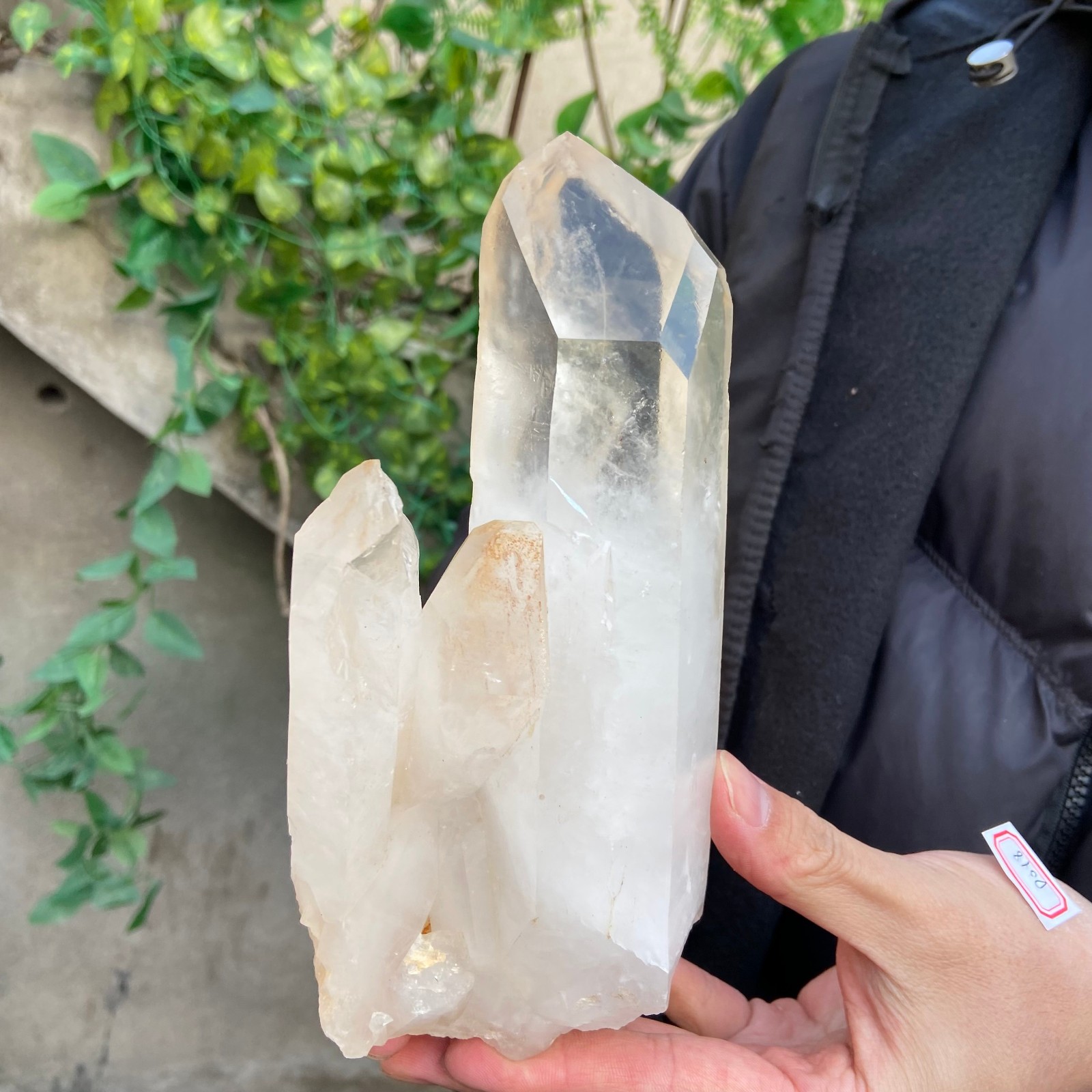 2.6LB A++Large Natural clear white Crystal Himalayan quartz cluster /mineralsls