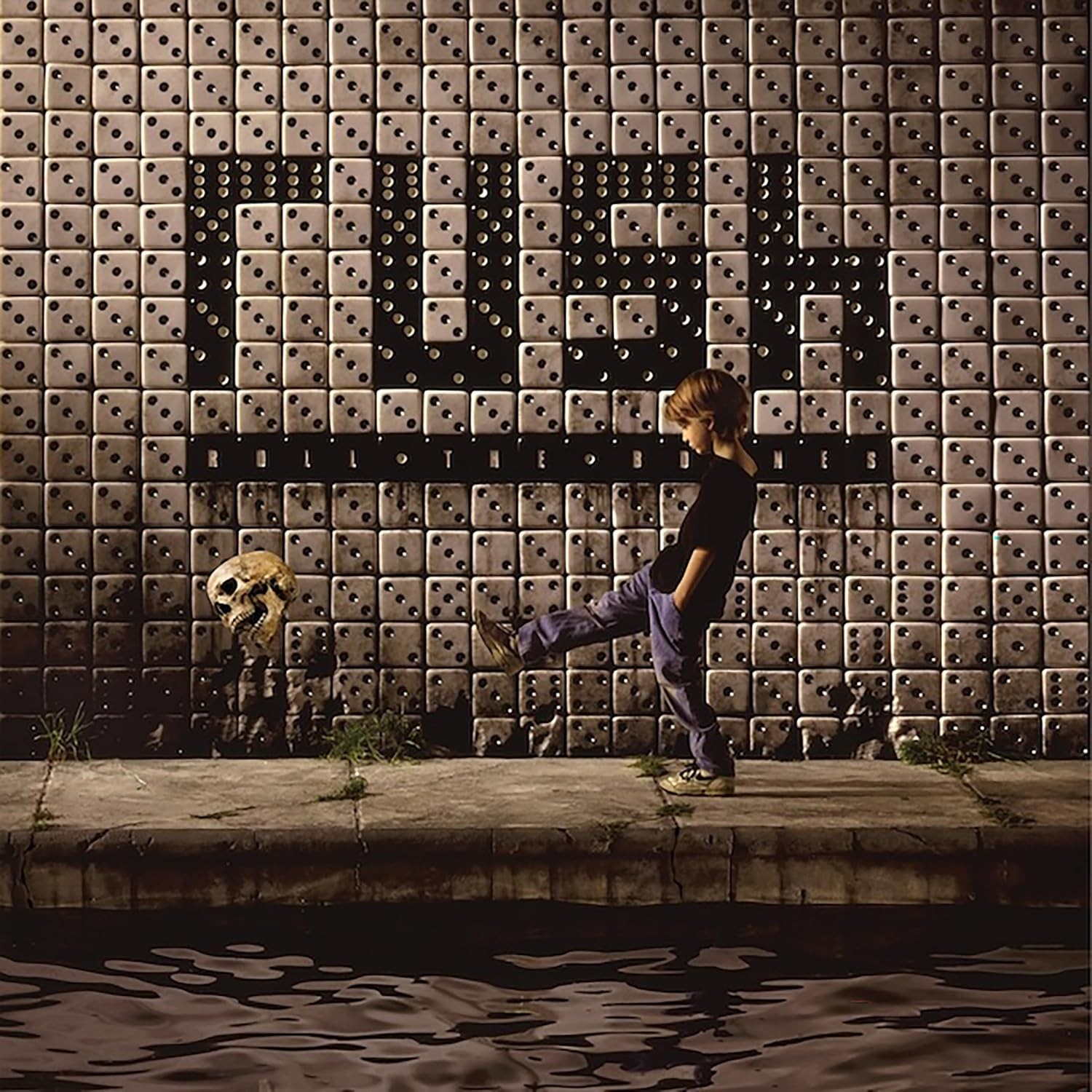 RUSH ROLL THE BONES(LP)