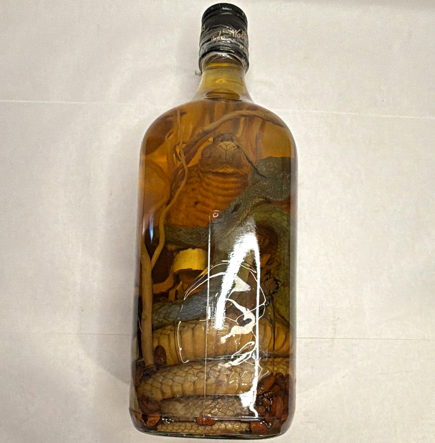 Vintage Style Snake Specimen Display Bottle – Preserved Snake in Amber Liquid