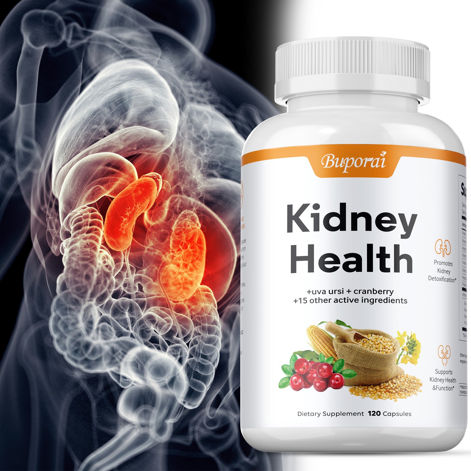 Kidney Health - Kidney Support, Detox & Repair, Urinary Tract Health & Bladder Kidney Health - Kidney Support, Detox & Repair, Urinary Tract Health & Bladder