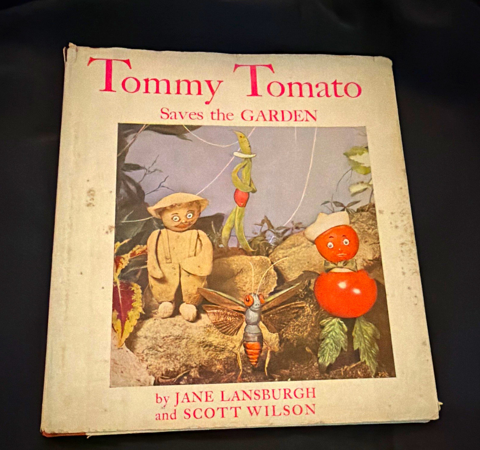 RARE 1937 First Ed TOMMY TOMATO SAVES THE GARDEN Childrens Book w Dust Jacket