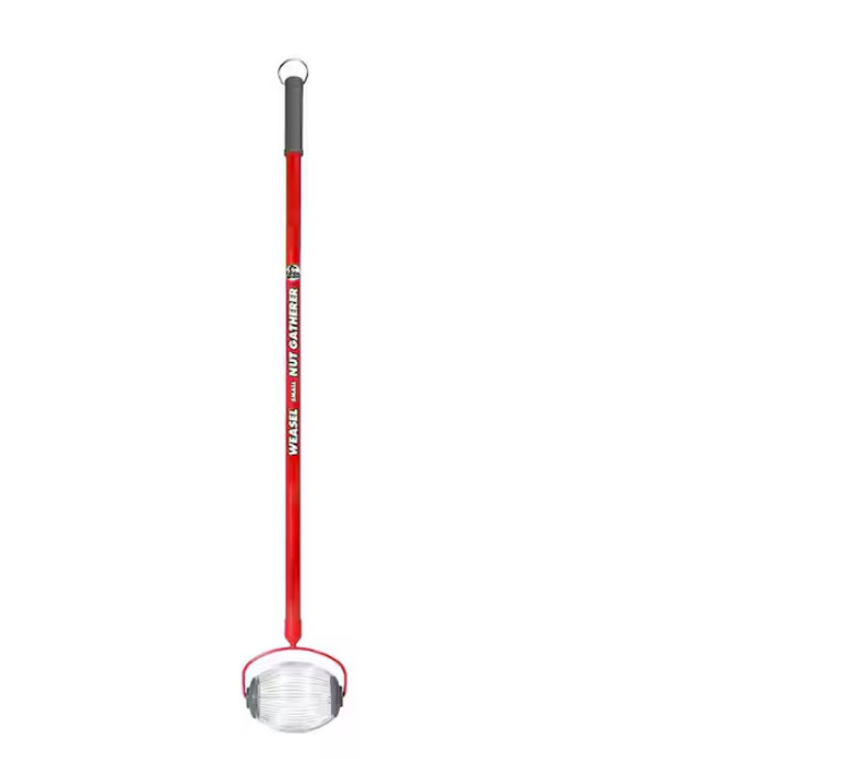 48 In. Weasel Medium Nut Gatherer with Smooth Rolling Cage