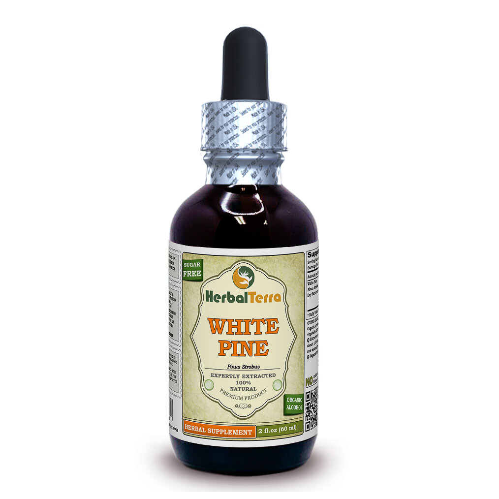White Pine (Pinus Strobus) Tincture, Dried Bark Liquid Extract
