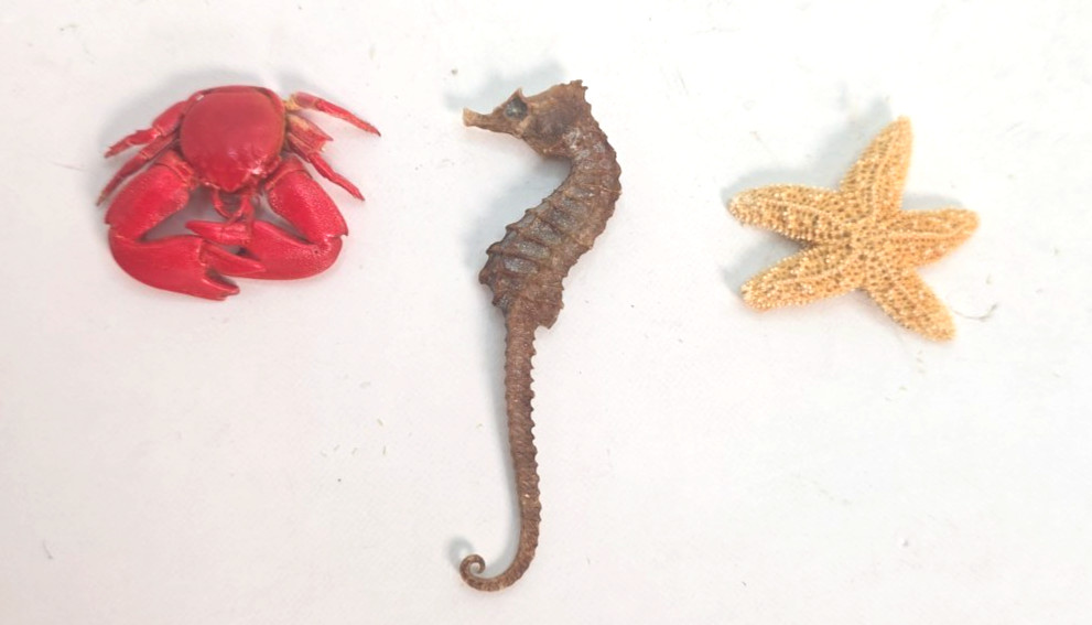 Souvenir Miniature Marine Life - Crab, Sea Horse, Star Fish