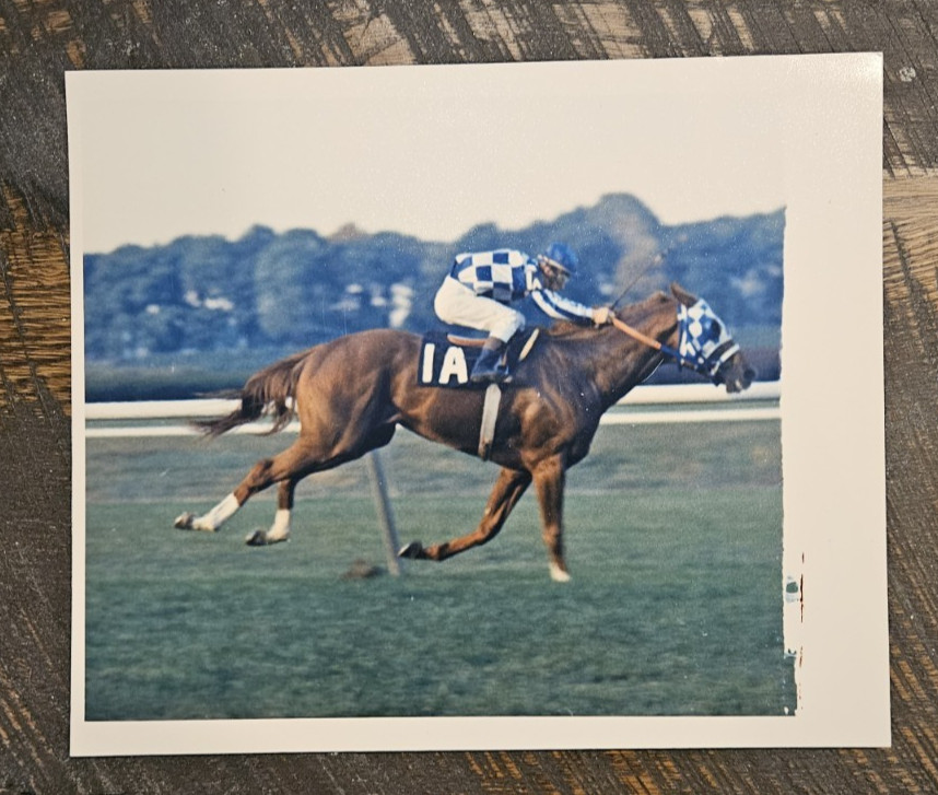 Rare Original Bob Coglianese NYRA Photo - Secretariat 1973 Man o\' War Stakes