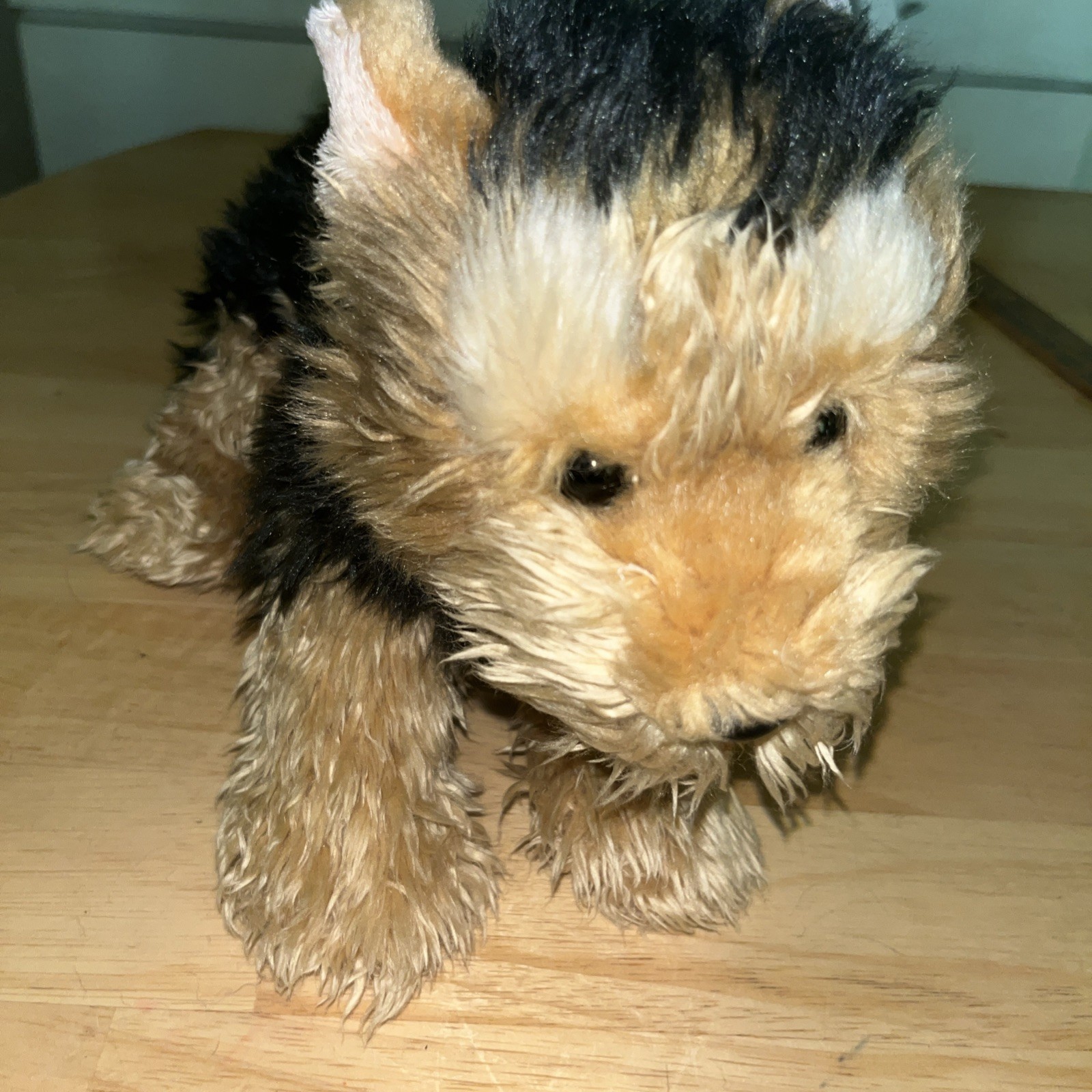 Webkinz Signature Yorkie Dog Plush Ganz Stuffed Animal WKS1014 NO CODE