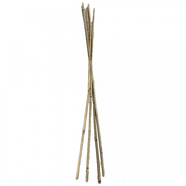 Farm Plastic Supply - Bamboo Garden Stakes - 4 & 7ft Long