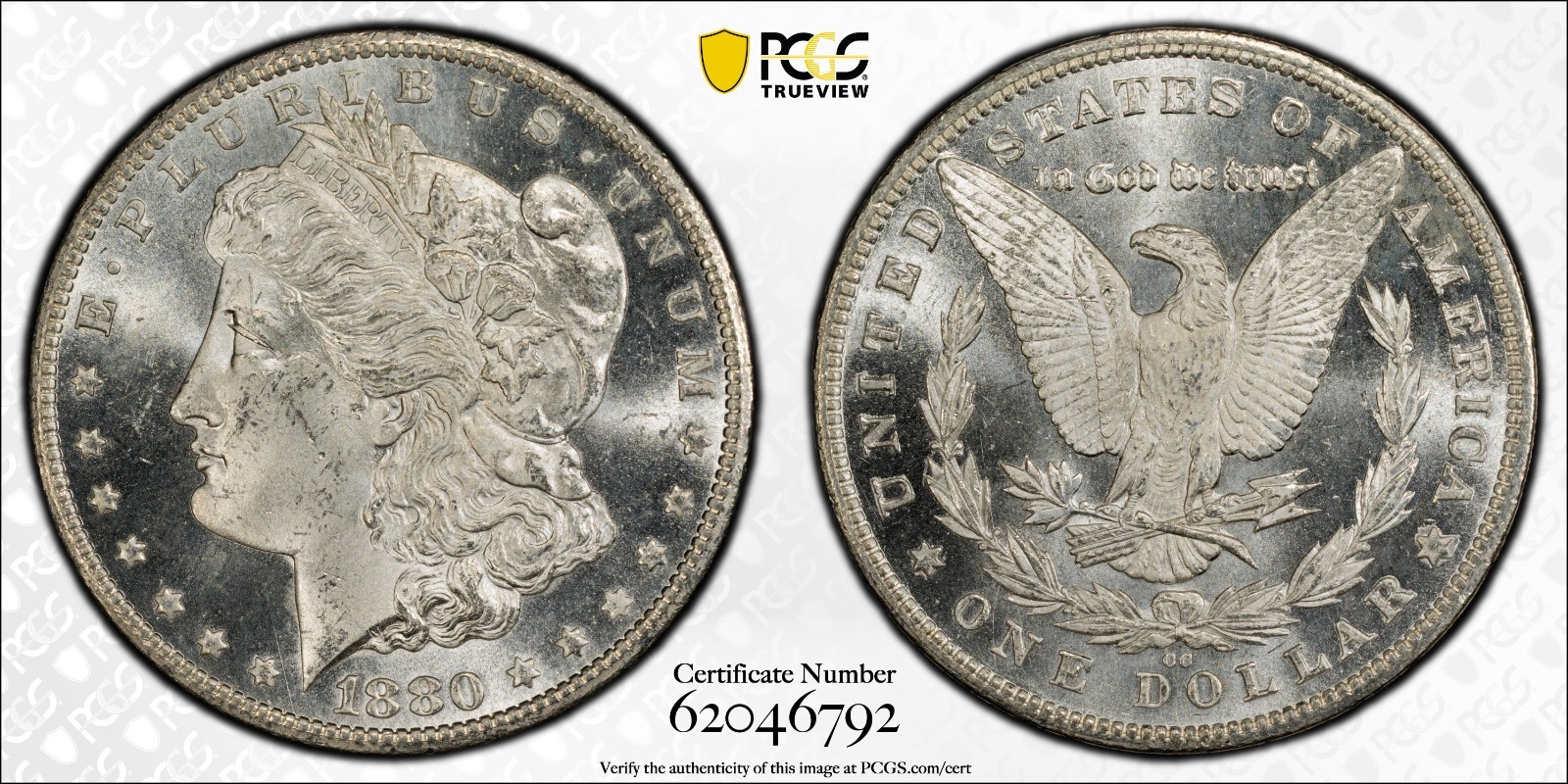 1880-CC $1 VAM 5, 8/High 7 PCGS MS64 JUST GRADED***TOP 100 LIST***GOLD SHIELD
