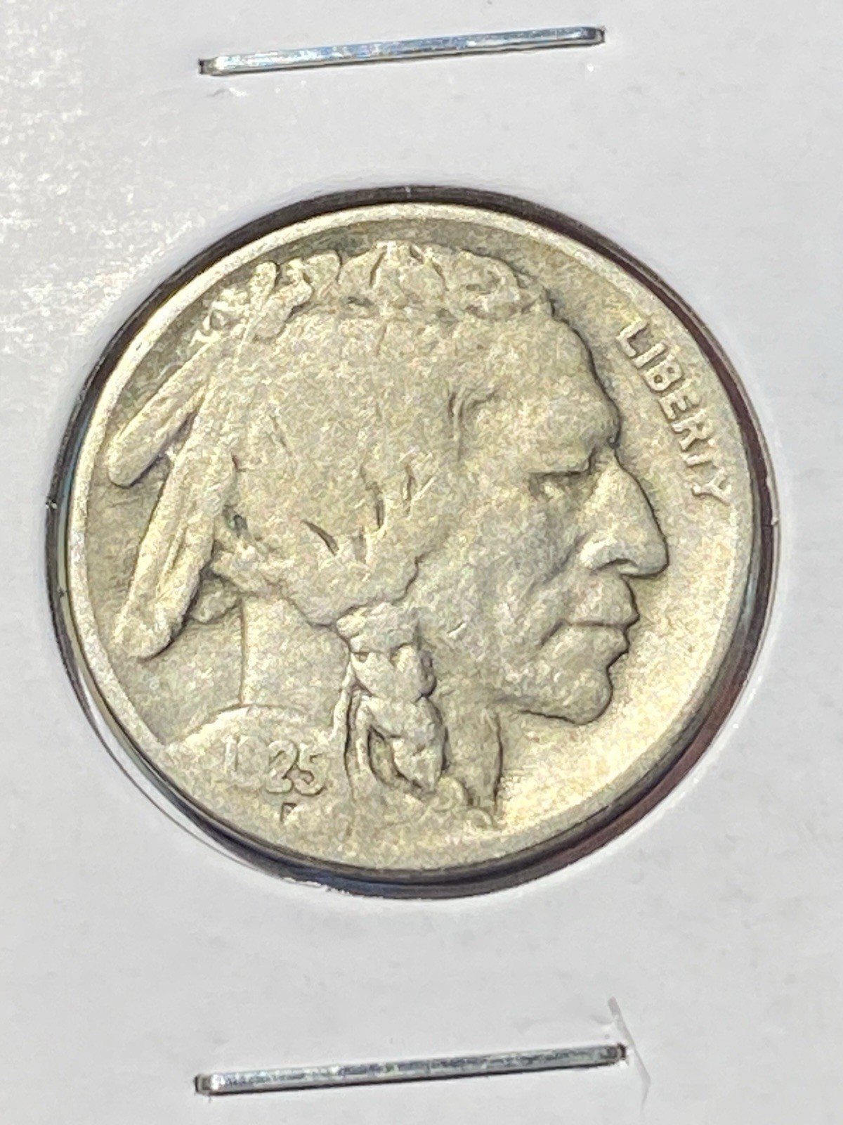 1925 P Buffalo Nickel VF 1925 P Buffalo Nickel VF