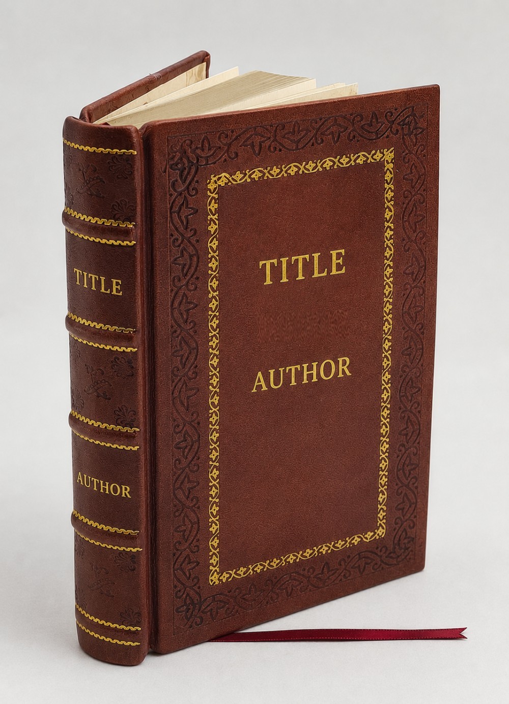 Tales of the Tuatha de Danann, Volume 1: New Translation [Premium Leather Bound]