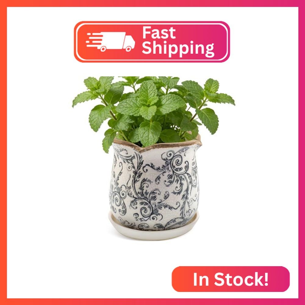 Xoogifae Ceramic-Planters-for-Indoor-Plants with Saucer, 6 inch Vintage Ice Crac