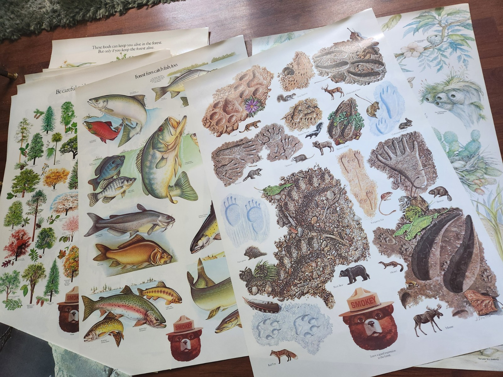 Lot of 14 Vintage Smokey the Bear Educational Posters 1980s US Dept Of Ag 30x20