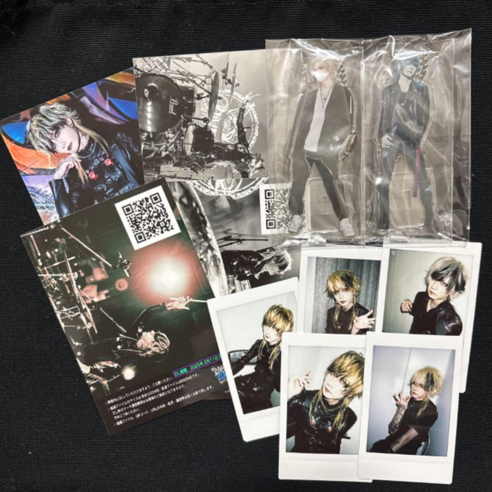 JILUKA Zyean Cheki Polaroid Photo Acrylic Stand Bundle Lot of 11 Visual Kei