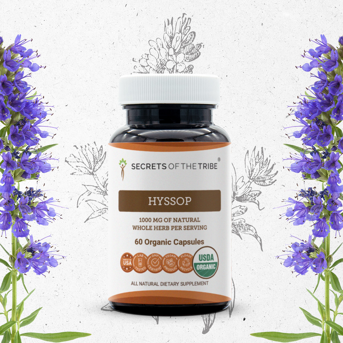 Secrets Of The Tribe Hyssop Capsules, 500 mg