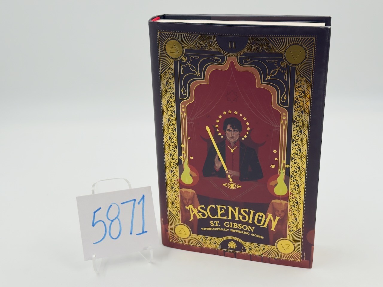 Ascension, S.T. Gibson HC DJ Angry Robot 2025