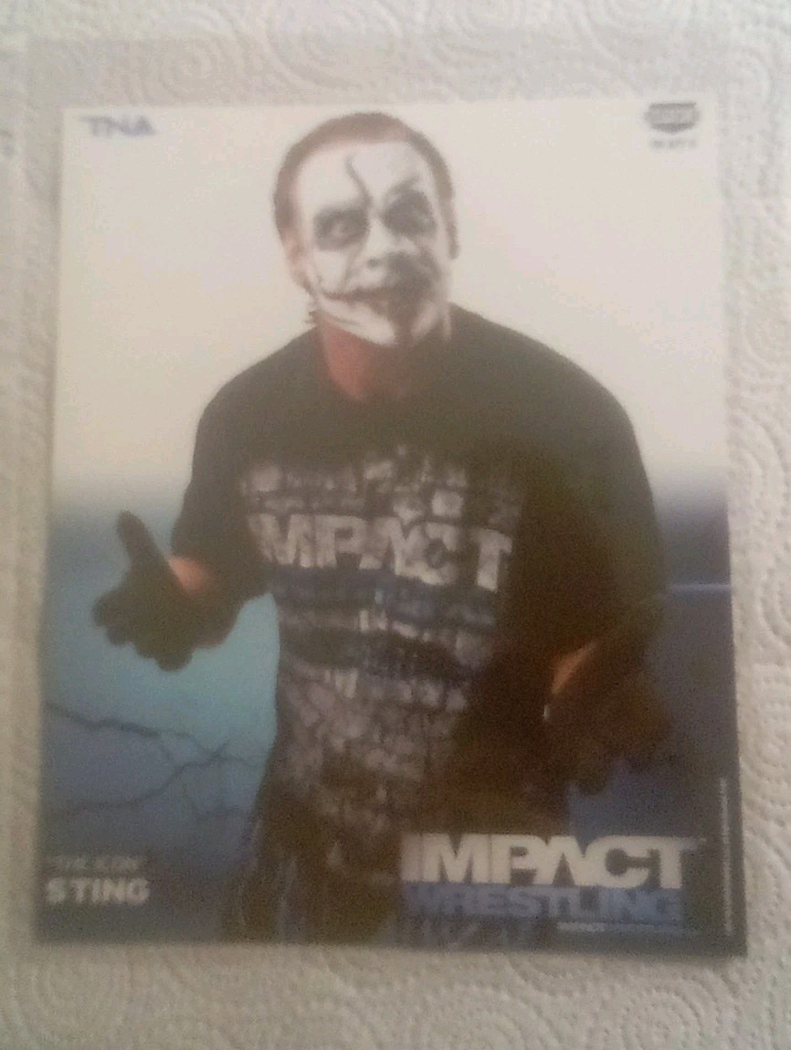Sting - TNA Original Promo Photo 8x10