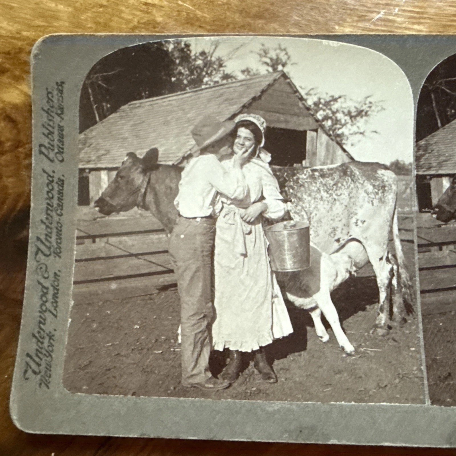 Taking The Cream Vintage Antique Stereoscope Photo Card Stereoview 1904 Kissing Taking The Cream Vintage Antique Stereoscope Photo Card Stereoview 1904 Kissing