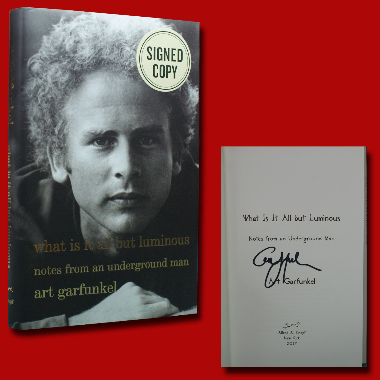 What Is It All But Luminous Notes From An Underground Man SIGNED Art Garfunkel