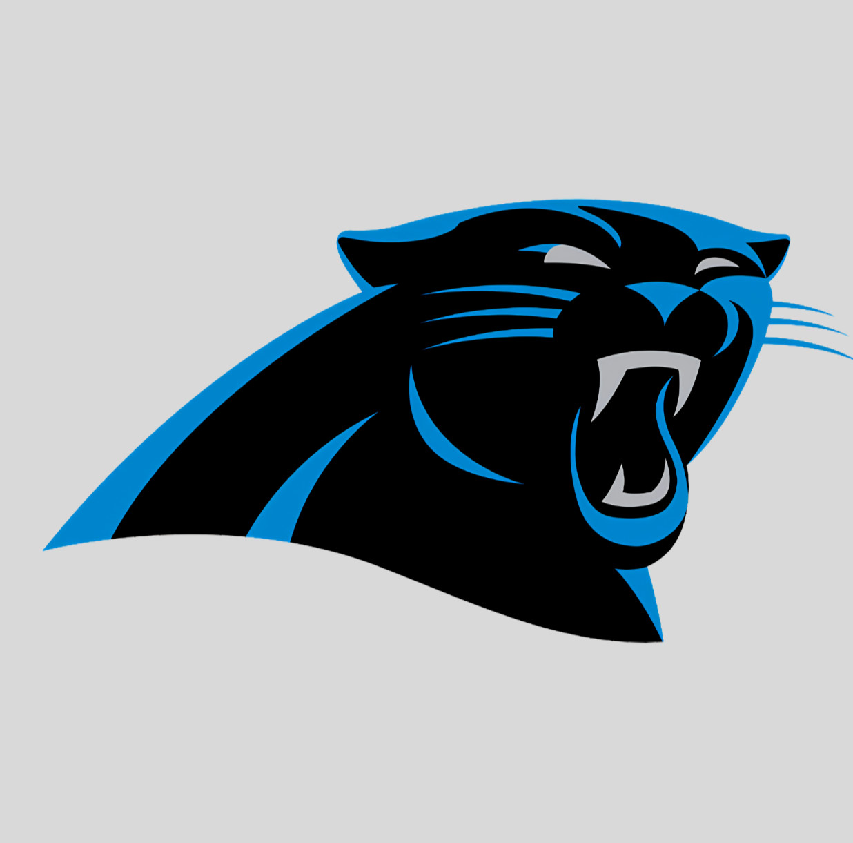 Carolina Panthers Laminated Magnet, Variety of sizes Carolina Panthers Laminated Magnet, Variety of sizes