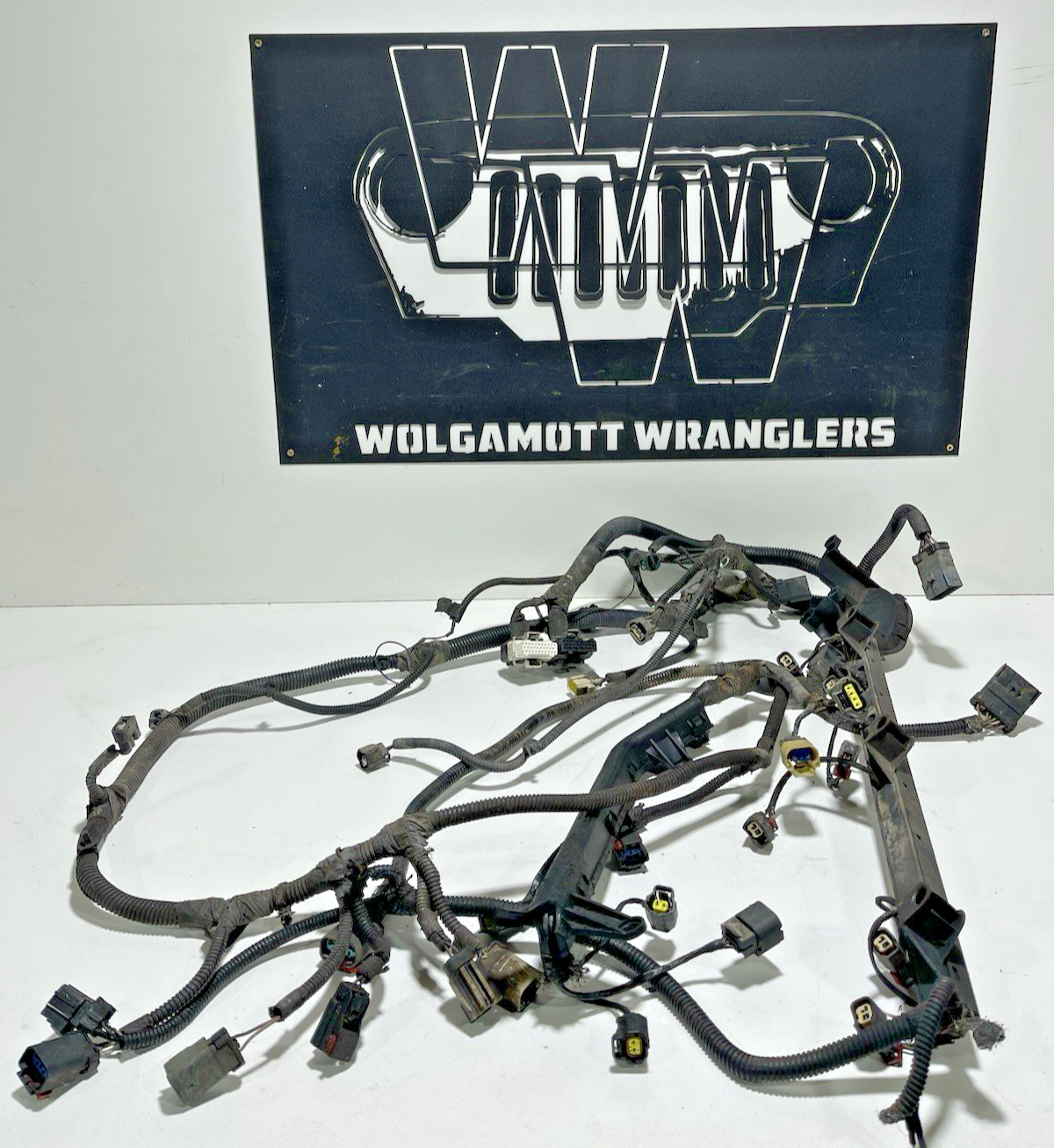 04 Jeep RUBICON Wrangler Engine Injector 4.0 Manual Wiring Harness 56044453AB
