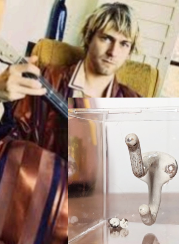 Kurt Cobain Closet Wall Coat Hanger In Utero House COA Nirvana RARE