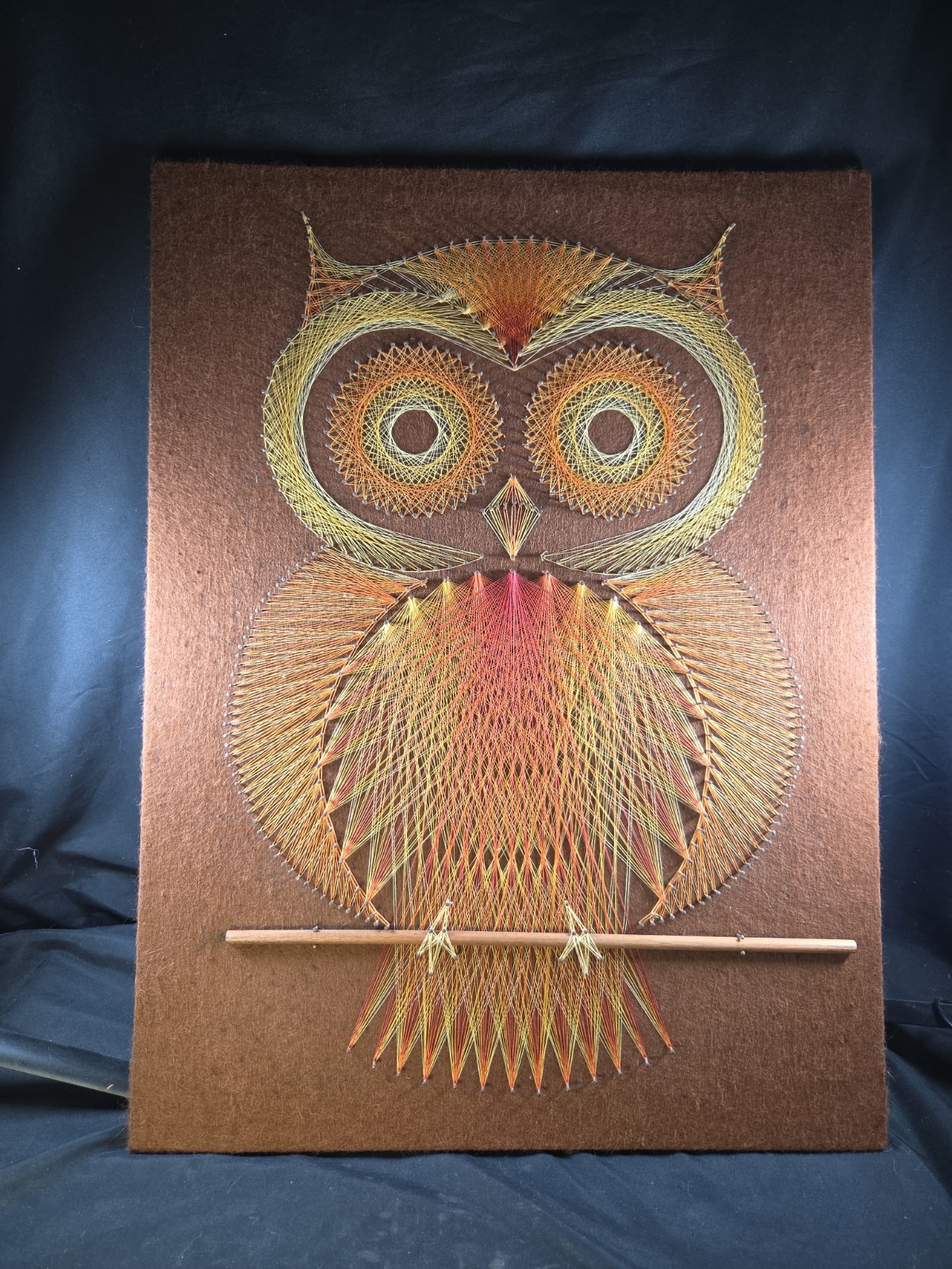 Vintage Handmade 1970’s Mid Century Owl String Nail Art Wall Decor 18”x24” Rare