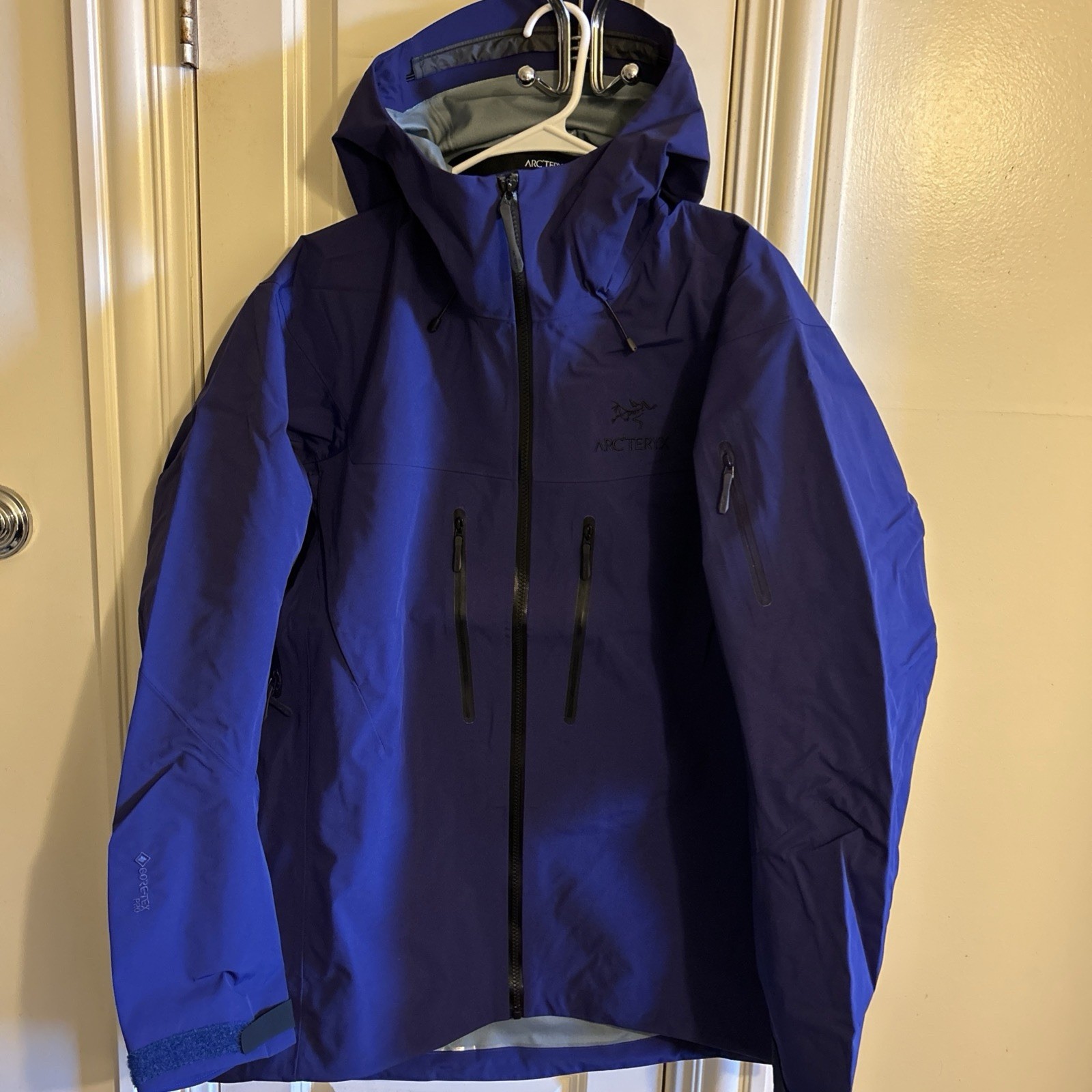 Arcteryx Alpha SV Purple Rain Ski Waterproof Goretex Jacket Men’s Size Large Arcteryx Alpha SV Purple Rain Ski Waterproof Goretex Jacket Men’s Size Large