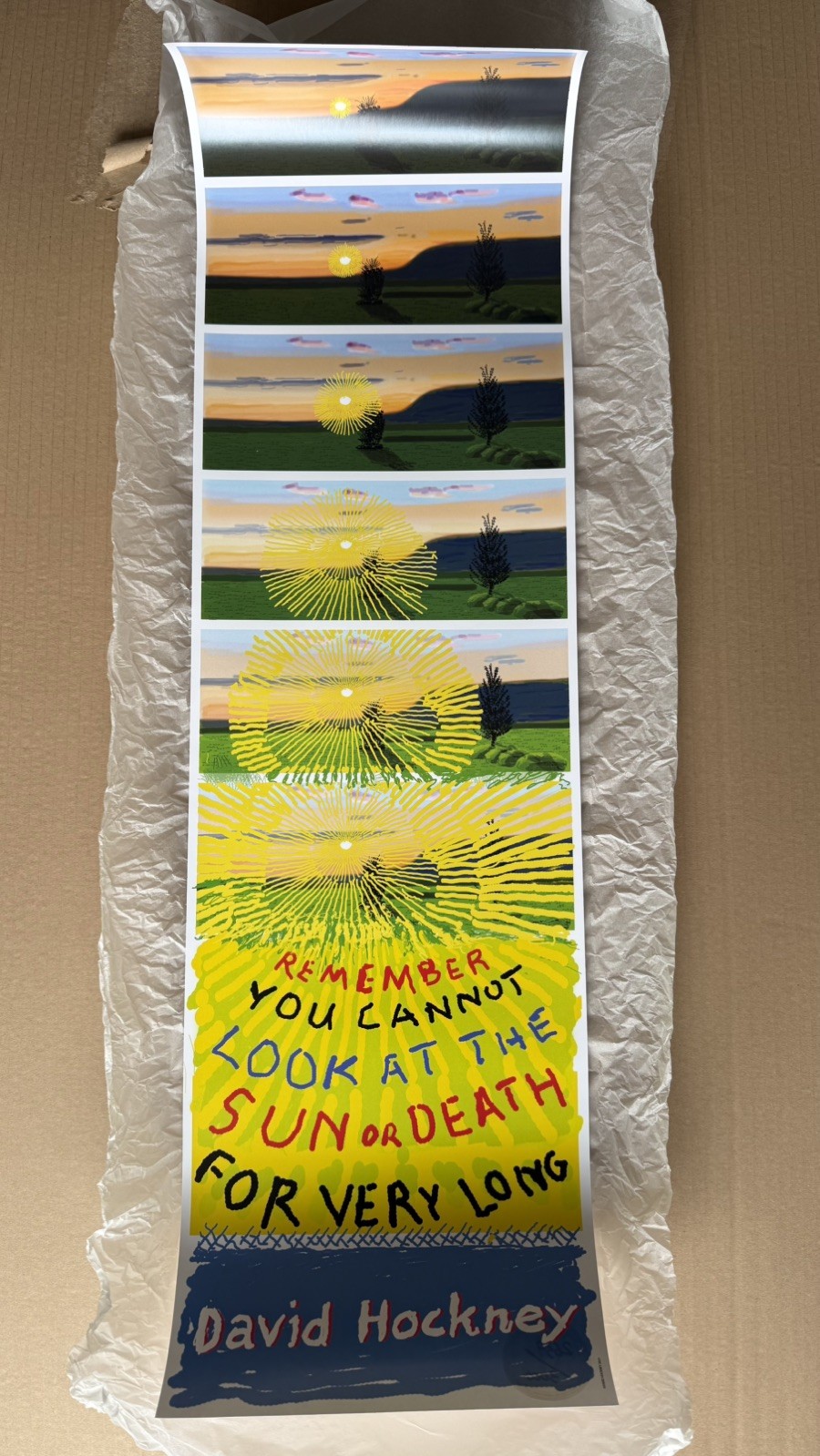 David Hockney Remember You Cannot Look At The Sun CIRCA 2021 Print /3000 