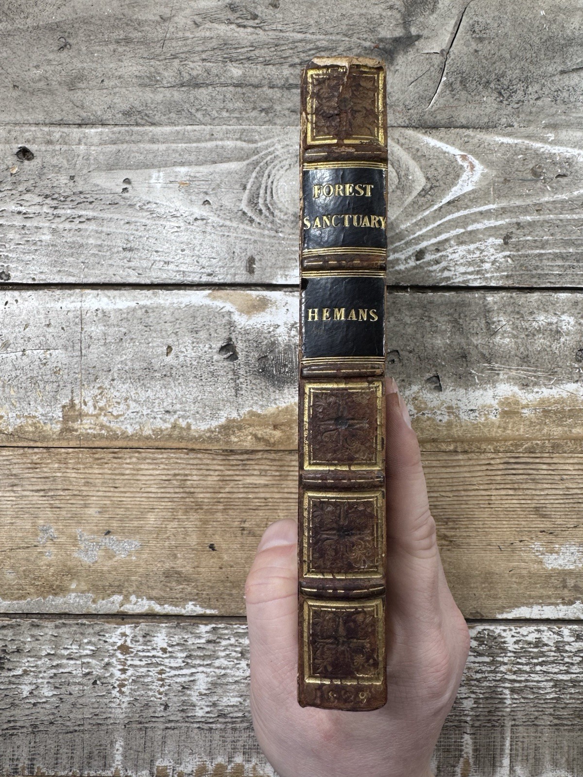 1829 Antique Poetry “The Forest Sanctuary” Hemans 1829 Antique Poetry “The Forest Sanctuary” Hemans