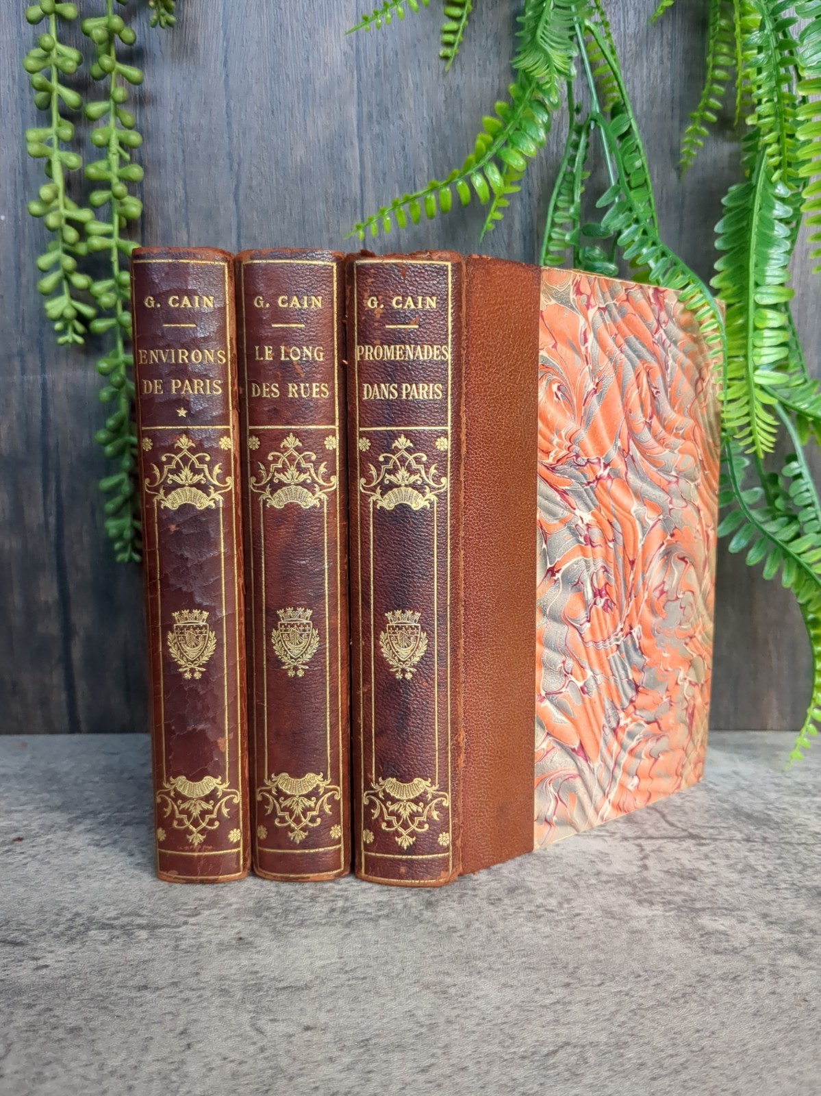 Promenades dans Paris Georges Cain 1906 Ernest Flammarion 3 vols Illustrated