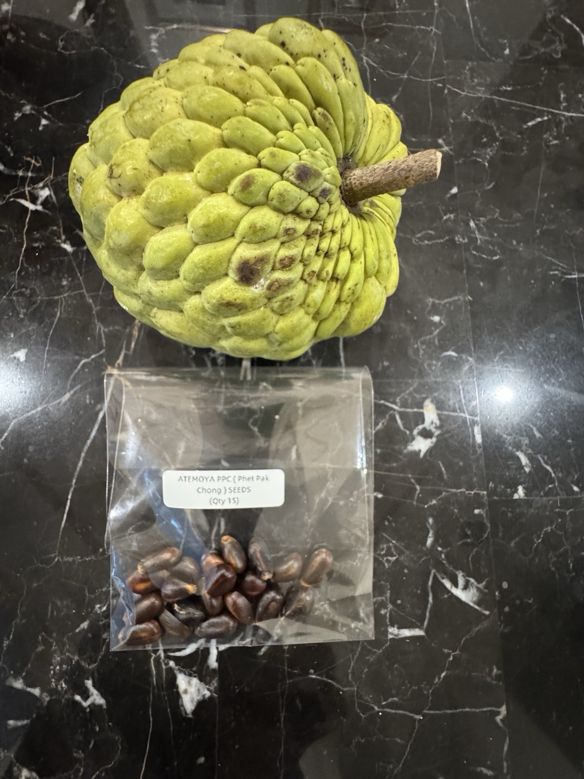 Atemoya PPC (Phet Pak Chong) 2026 - Annona Fruit Seeds 15 ct