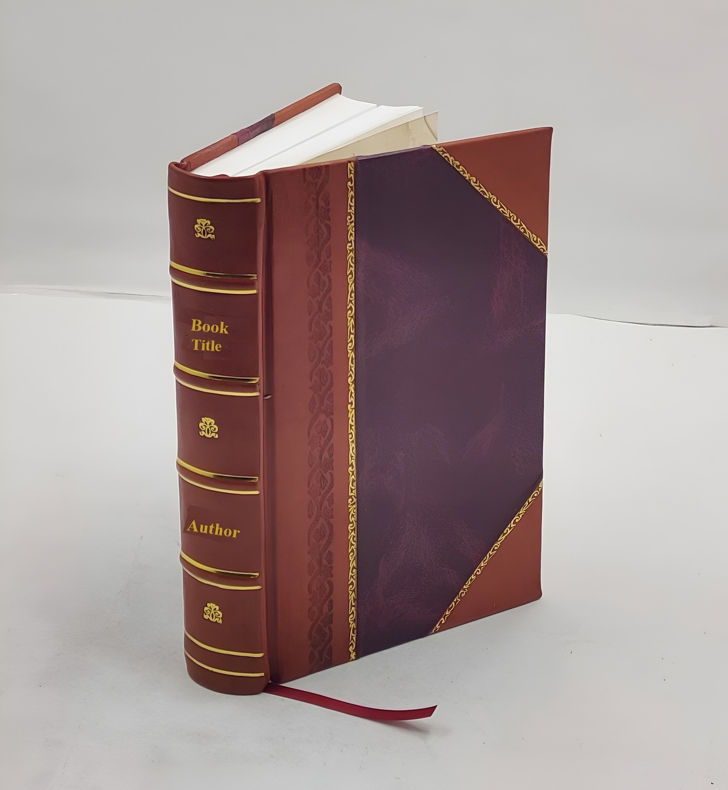 Our western border, in early pioneer days : containing the true  [Leather Bound]