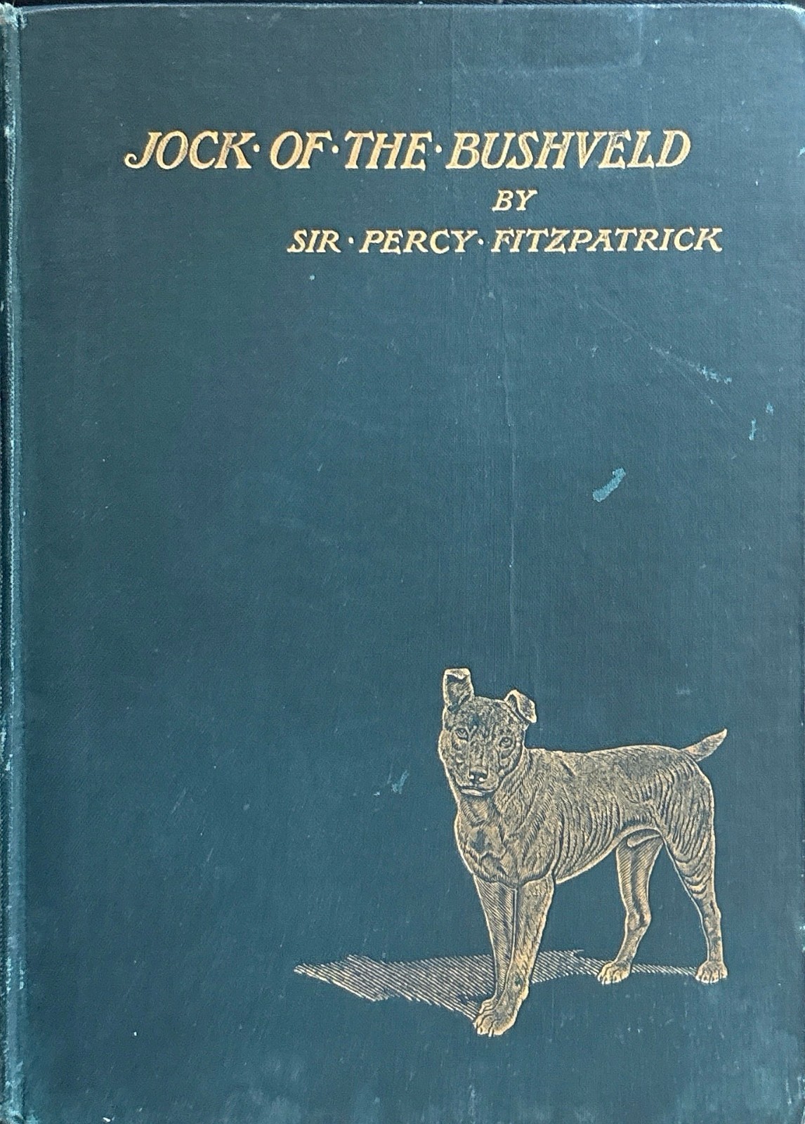 Transition Copy JOCK OF THE BUSHVELD 1907 3rd Imp. BEETLE ERROR Front Legs Gilt Transition Copy JOCK OF THE BUSHVELD 1907 3rd Imp. BEETLE ERROR Front Legs Gilt
