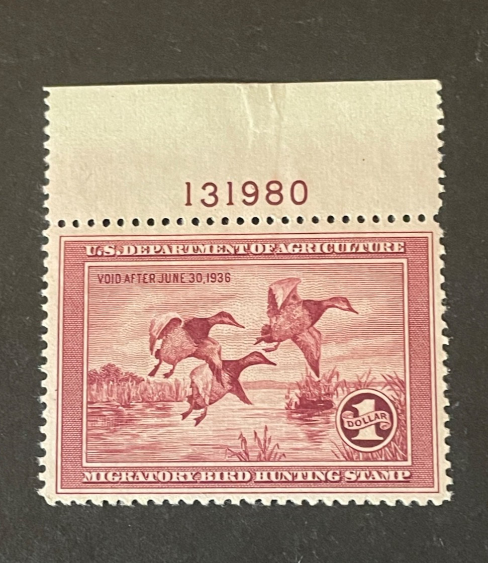 Stamps US Scott #RW2 never hinged Stamps US Scott #RW2 never hinged