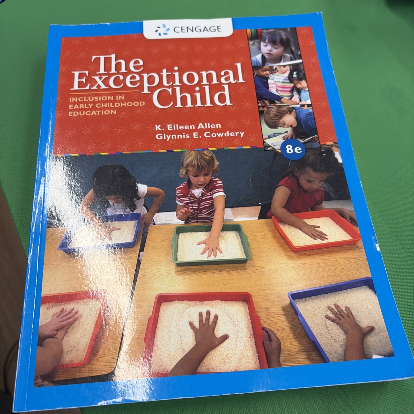 Exceptional Child : Inclusion in Early Childhood...8e Paperback Exceptional Child : Inclusion in Early Childhood...8e Paperback