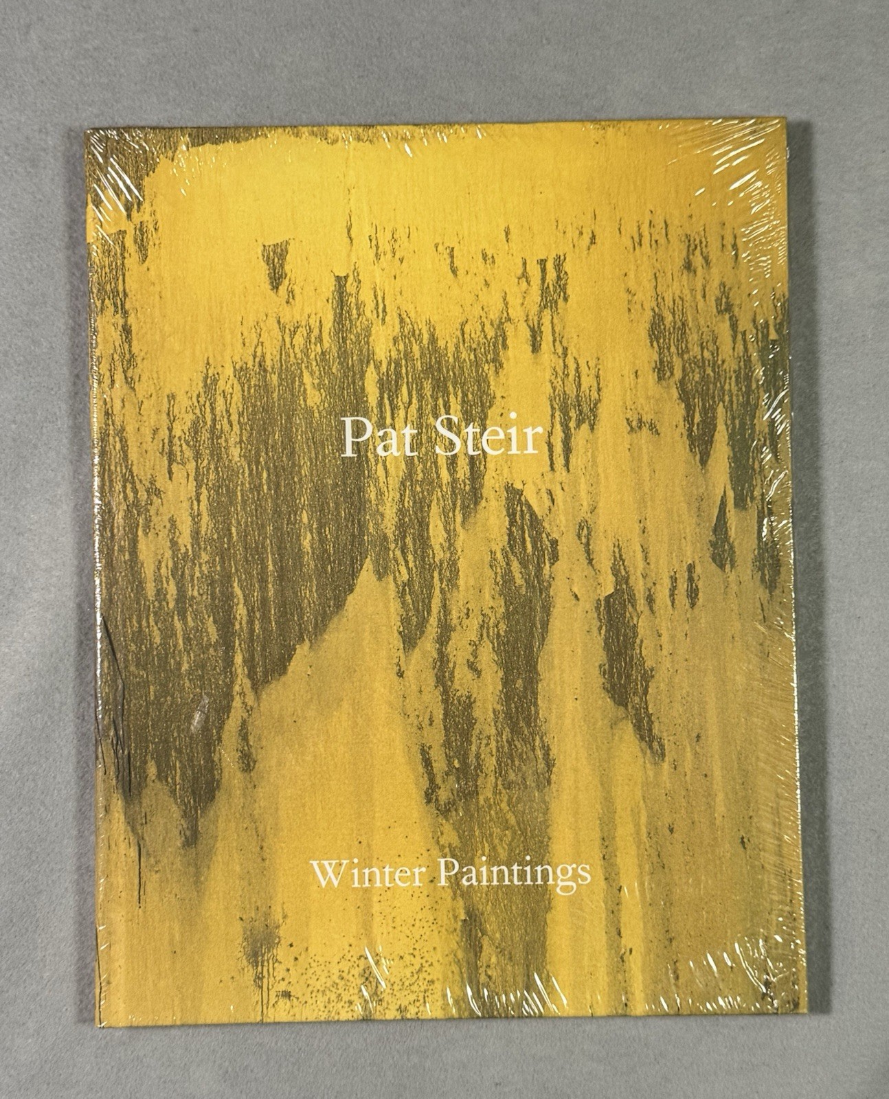 Pat Steir Winter Paintings HC Art Book w/ Dust Jacket Cheim & Read English
