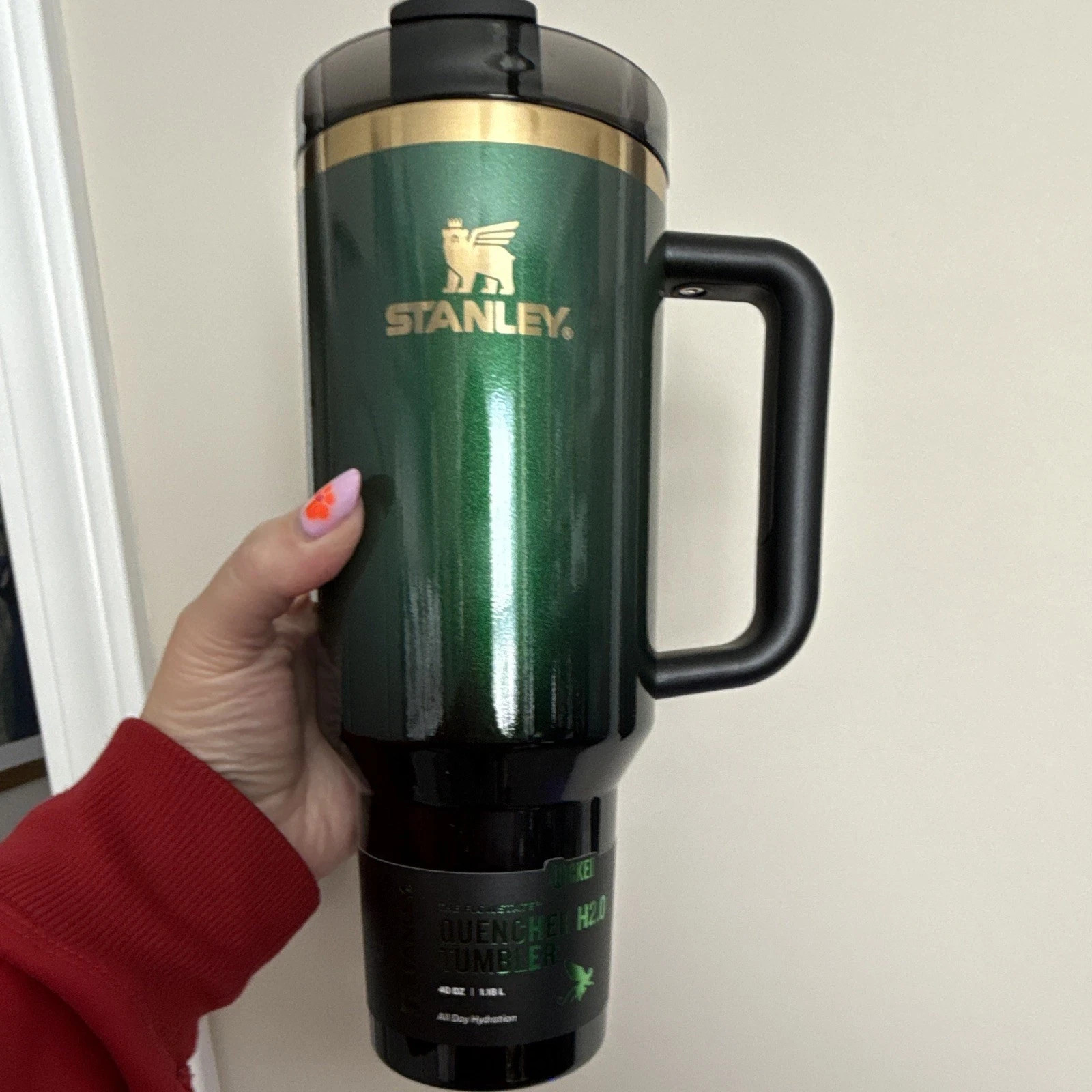 New 2025 Stanley x Wicked Tumbler 40 oz Quencher Elphaba Flowstate - Sealed box
