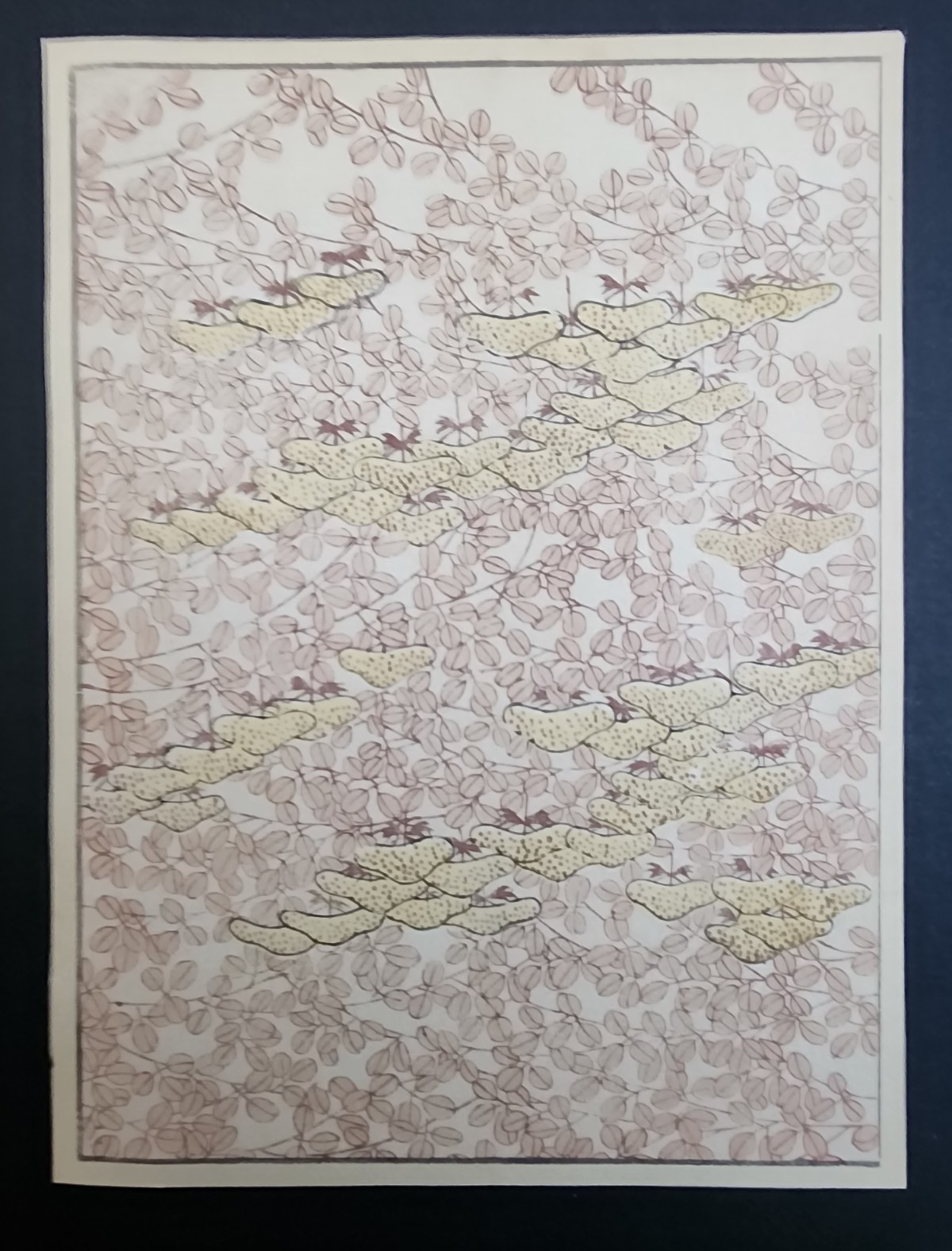 ntique Japanese Woodblock Print - Foliage Floral Design - Bijutsukai 1896