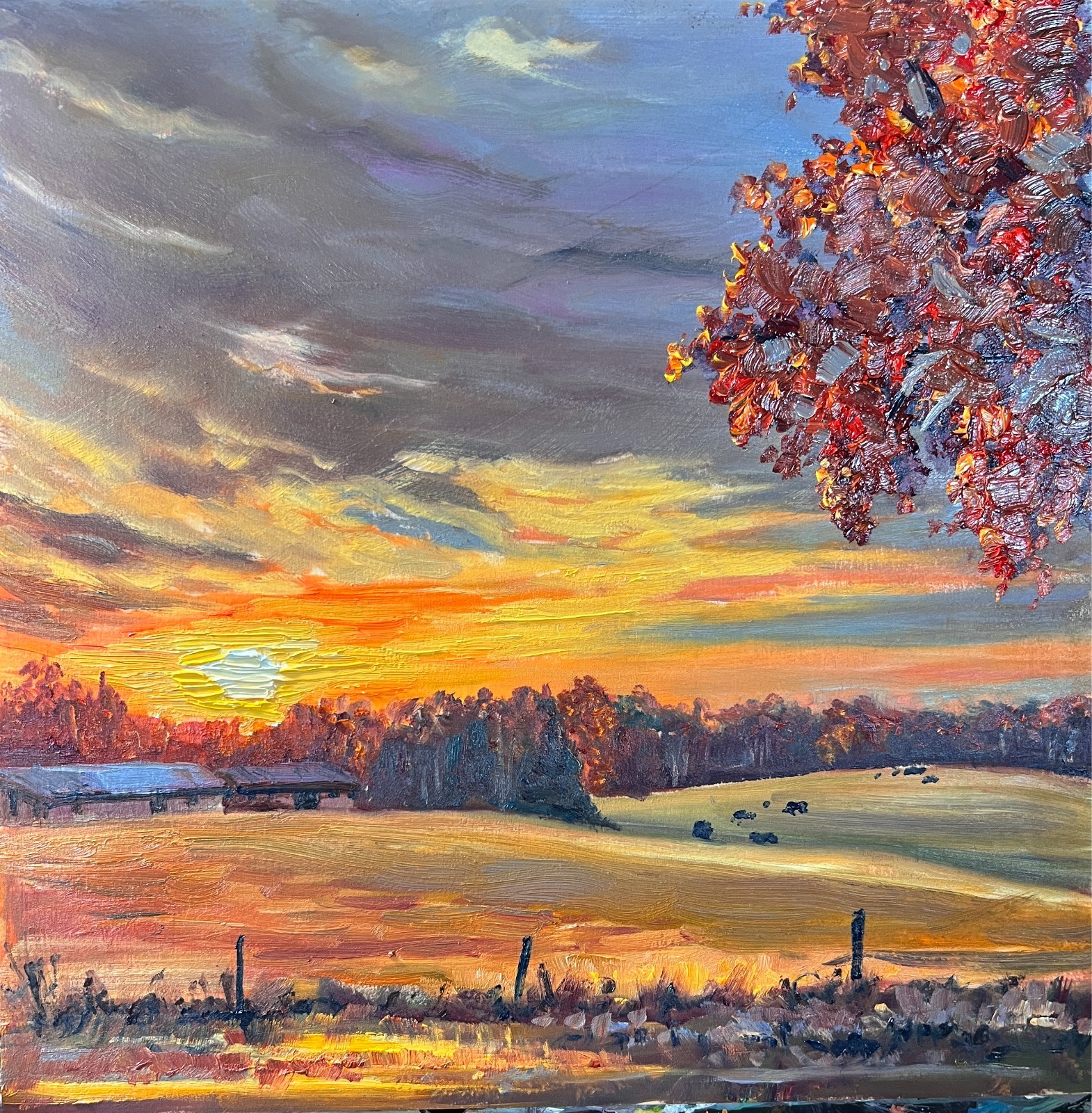 Sophie Dare Colorful Oil Painting signed 10x10 Golden Cattle Field