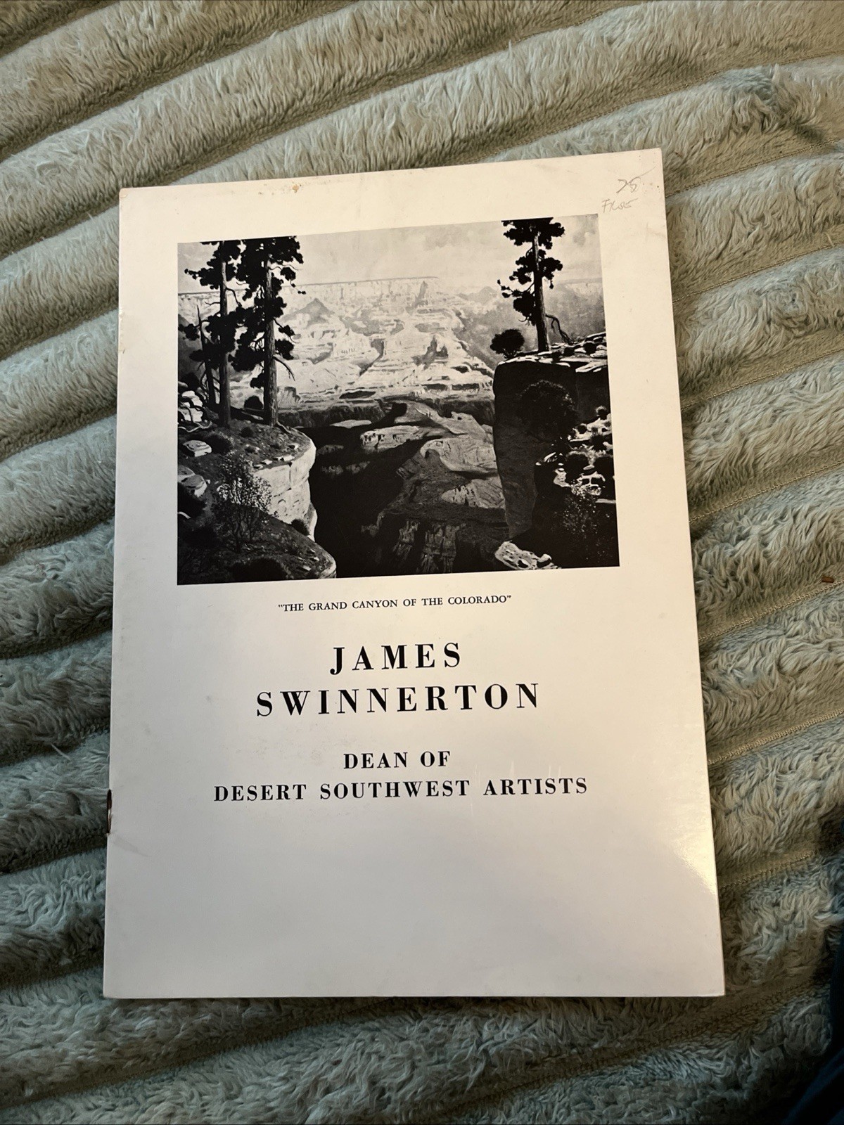 James Swinnerton Gallery Catalog 1973 Dean Of Desert Southwest Artists James Swinnerton Gallery Catalog 1973 Dean Of Desert Southwest Artists