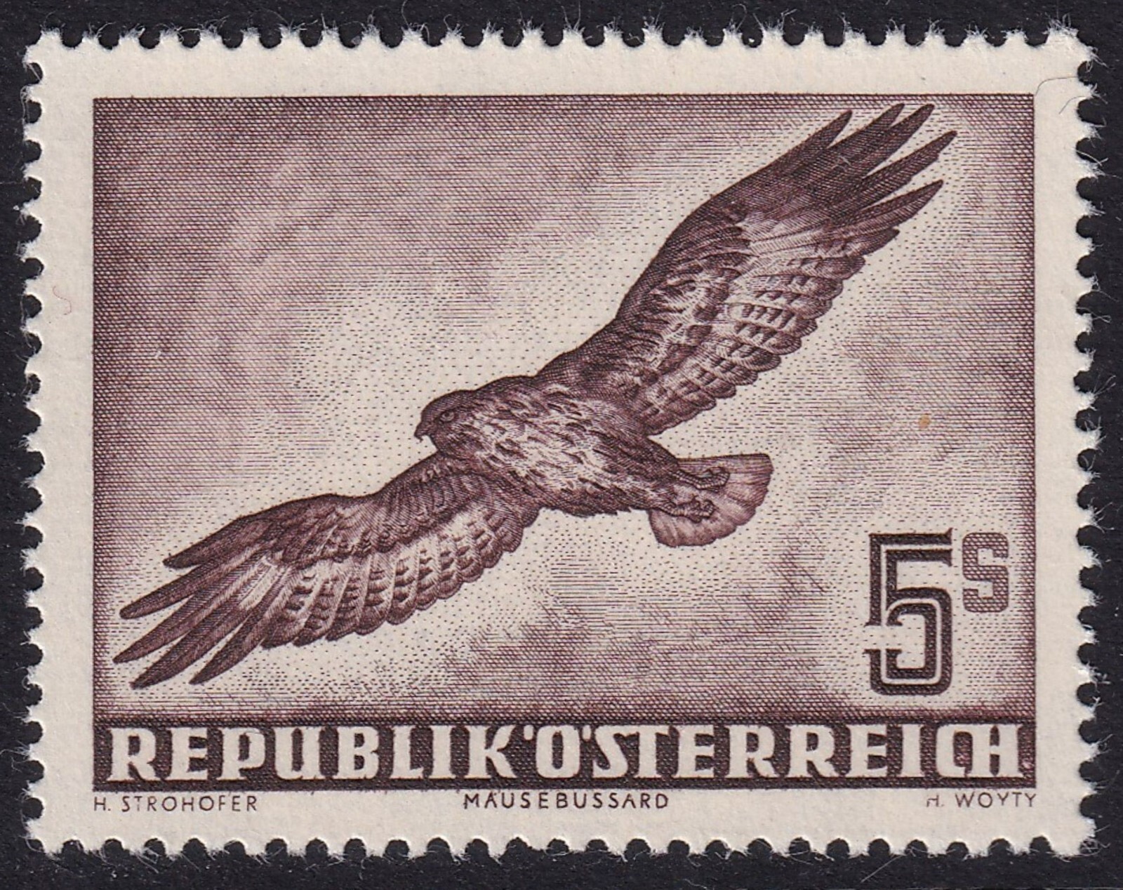AUSTRIA 1950-53 Air Birds 5s Common Buzzard SG 1219 MNH/** (CV £190)