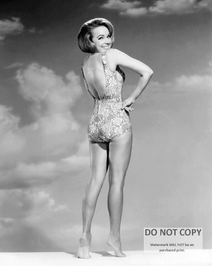 ACTRESS TERRY MOORE PIN UP - 8X10 PUBLICITY PHOTO (BT-133)