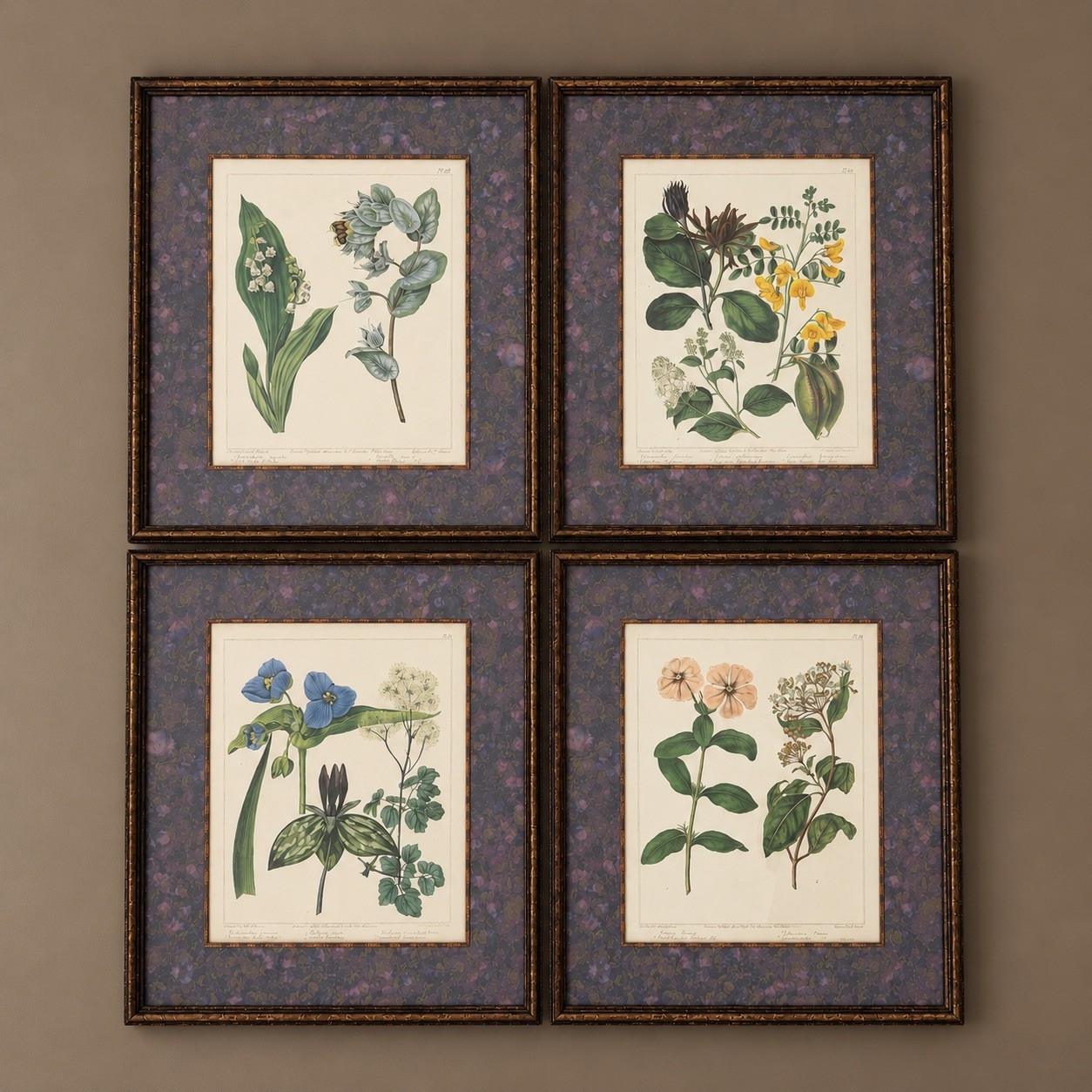The Bombay Company Private Collection Framed Botanical Prints Set of 4 The Bombay Company Private Collection Framed Botanical Prints Set of 4