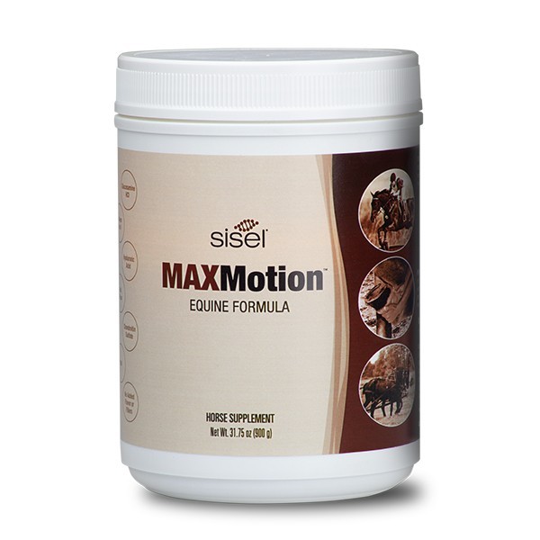 NEW Sisel MAXMotion™ Equine Formula Exp 2028 NEW Sisel MAXMotion™ Equine Formula Exp 2028