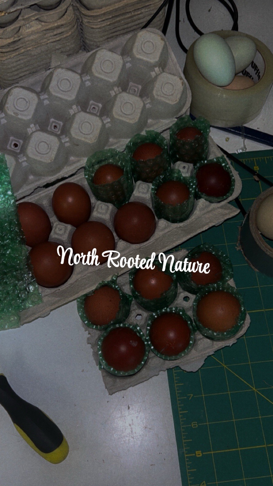 RARE🥚6 Purebred Black Copper Marans Hatching Eggs – Dark 6–8 Color Scale