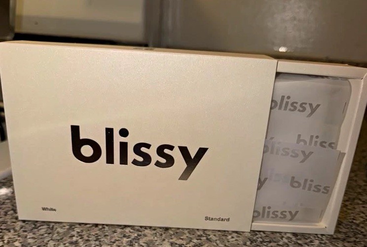 Blissy 100% Pure Mulberry Silk Pillowcase, White Standard, Solid Color