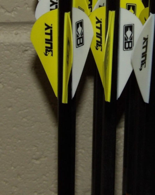 New 12 Easton Axis SPT 300 Spine 5mm Arrows-10.7 GPI- w/50 gr Stainless Outserts