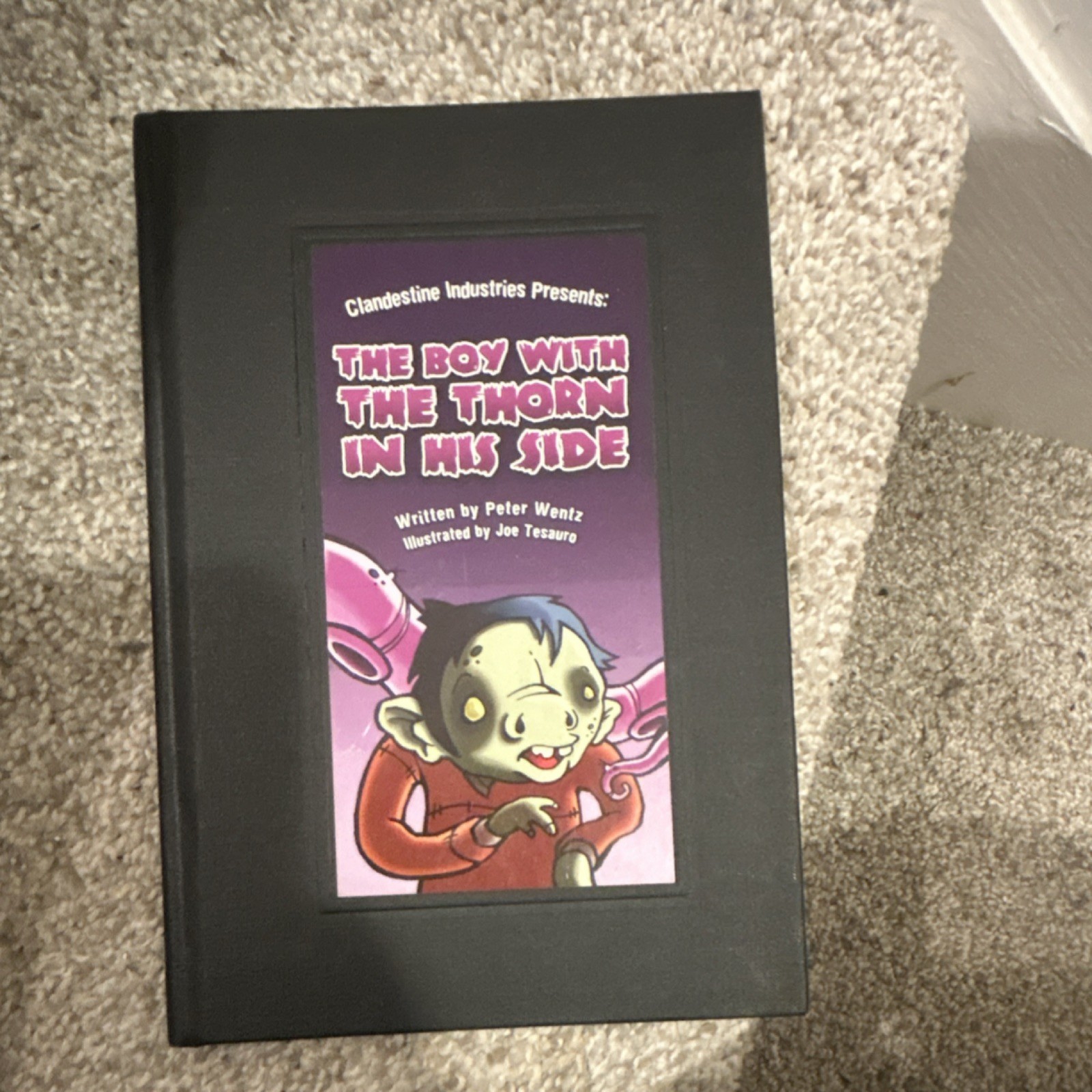 The Boy With The Thorn In His Side Hardcover by Peter Wentz, Illustrated by Joe…
