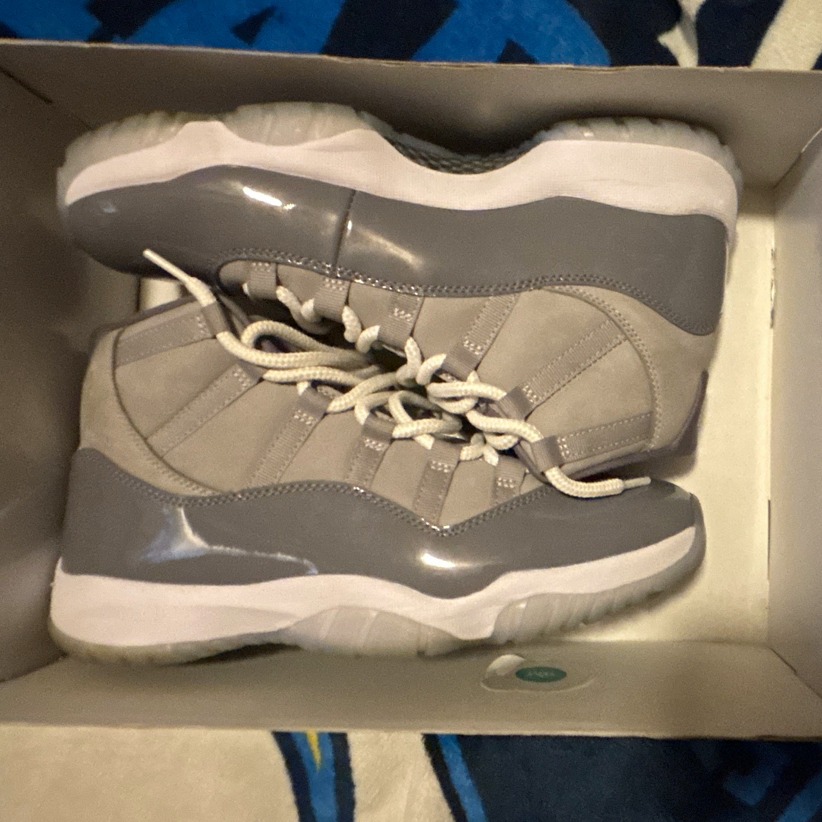 Jordan Air Jordan 11 Retro Cool Grey 2021 Medium Grey/White Men’s 10 CT8012-005