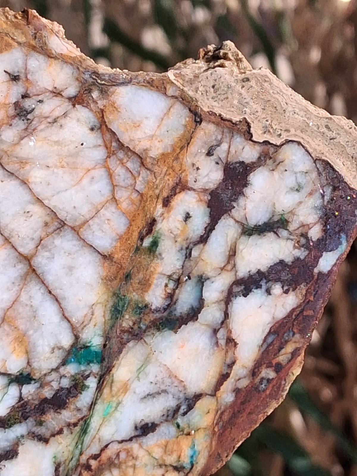 Nice Thick Slab Gold Ore Blu Mtn Visible Gold In Chalcopyrite Showing High Grade Nice Thick Slab Gold Ore Blu Mtn Visible Gold In Chalcopyrite Showing High Grade